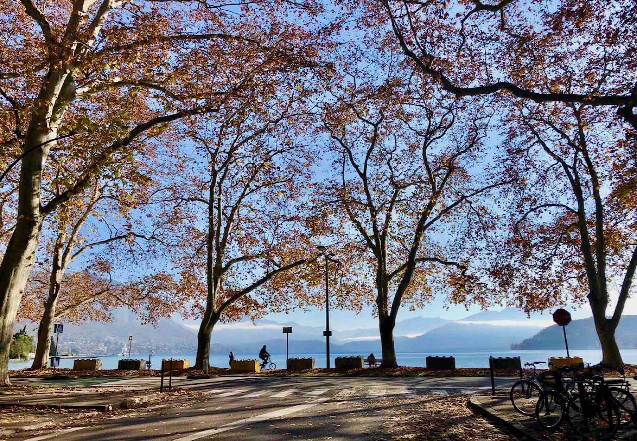 Apartment in Annecy - L Ourson vue Lac