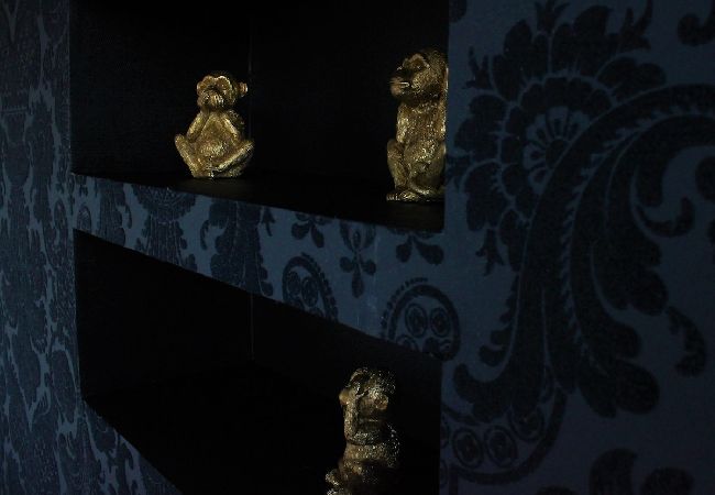 Apartment in Annecy - Art Bay 2 velos et parking Apartment in Annecy - Art Bay 2 velos et parking