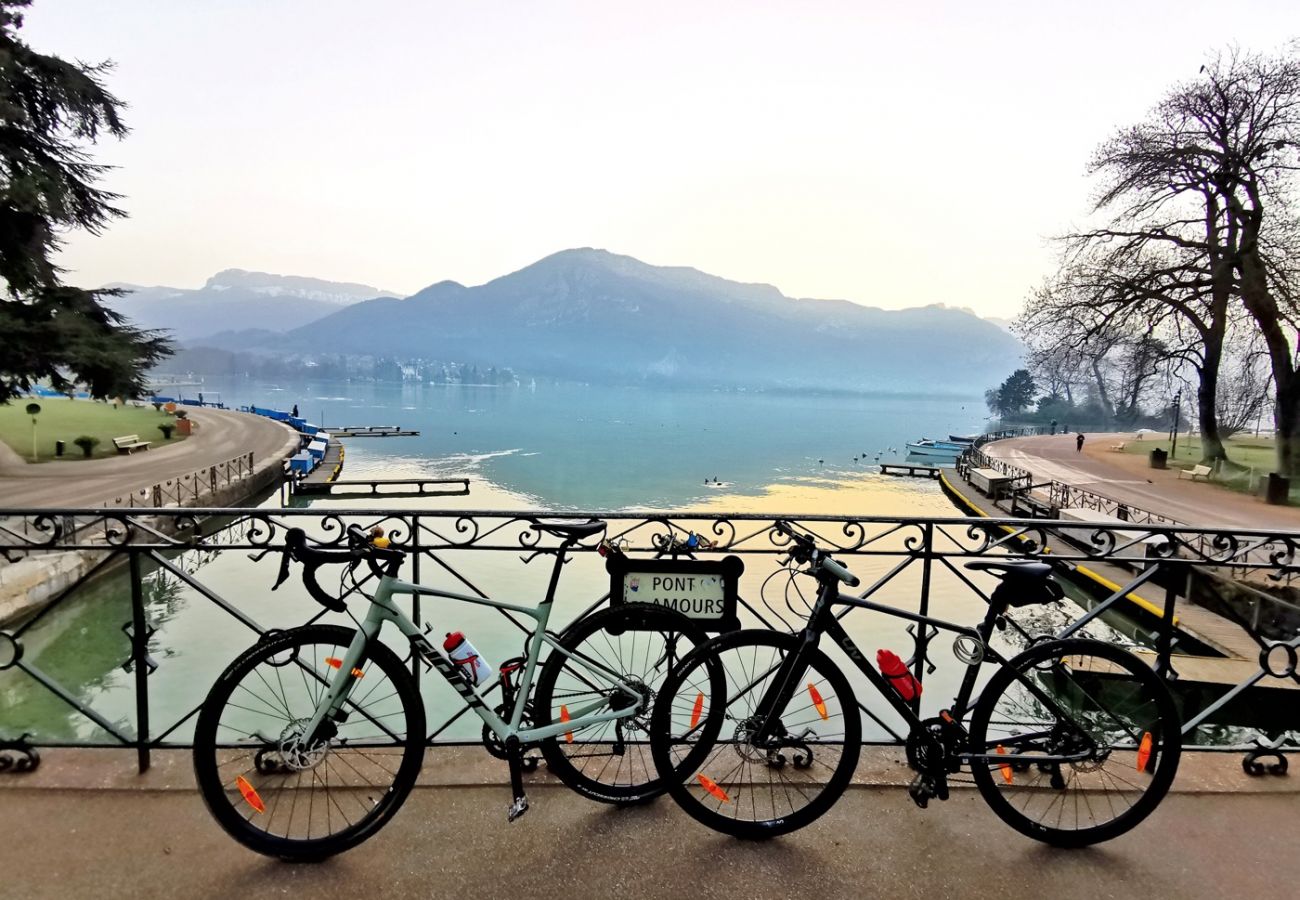 Apartment in Annecy - Golden Blue jacuzzi et 2 vélos