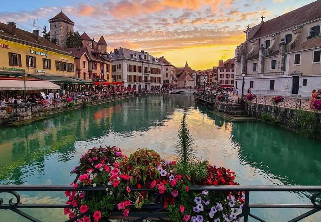 Apartment in Annecy - Golden Blue jacuzzi et 2 vélos