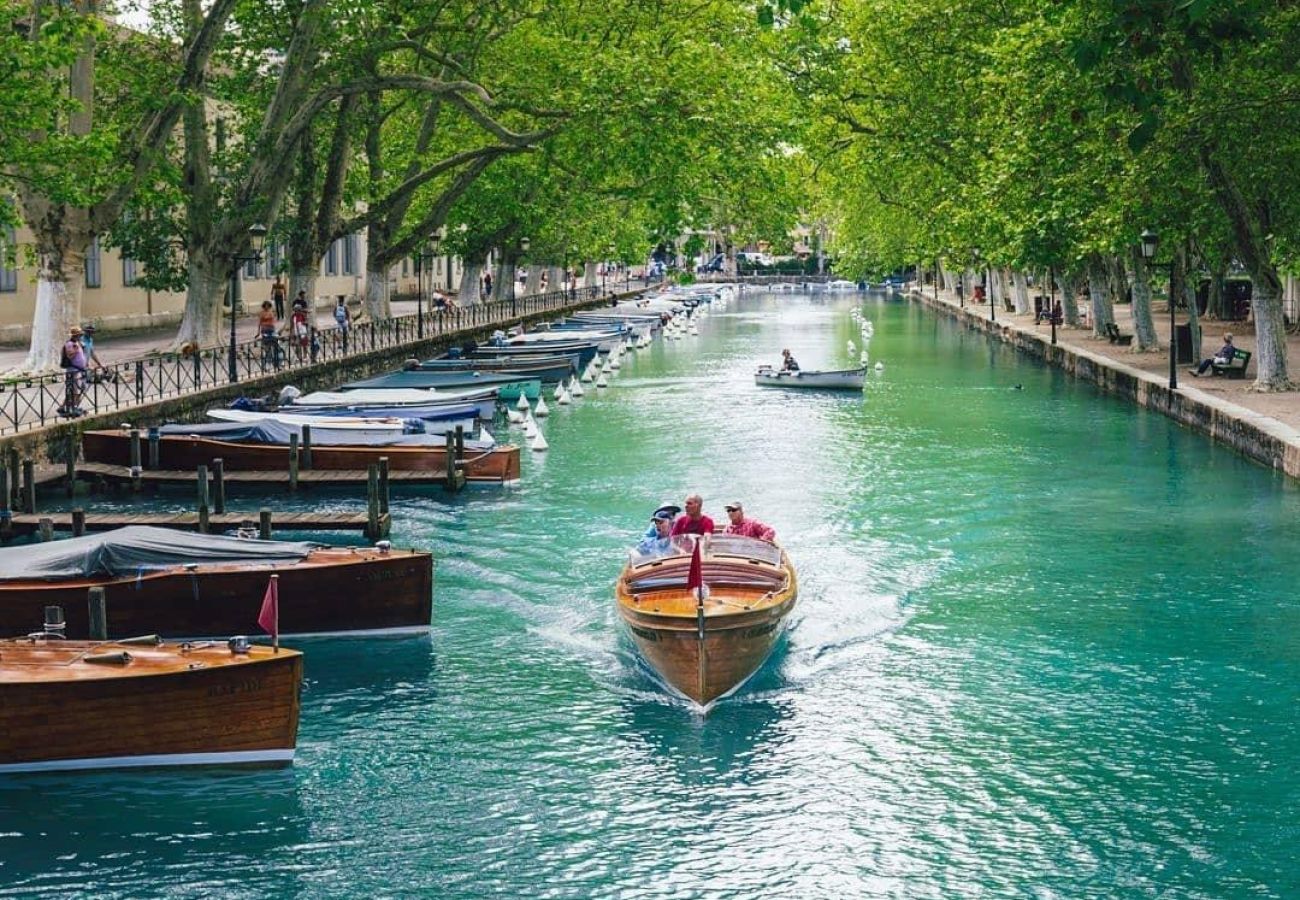 Apartment in Annecy - Baobab parking au cœur d Annecy