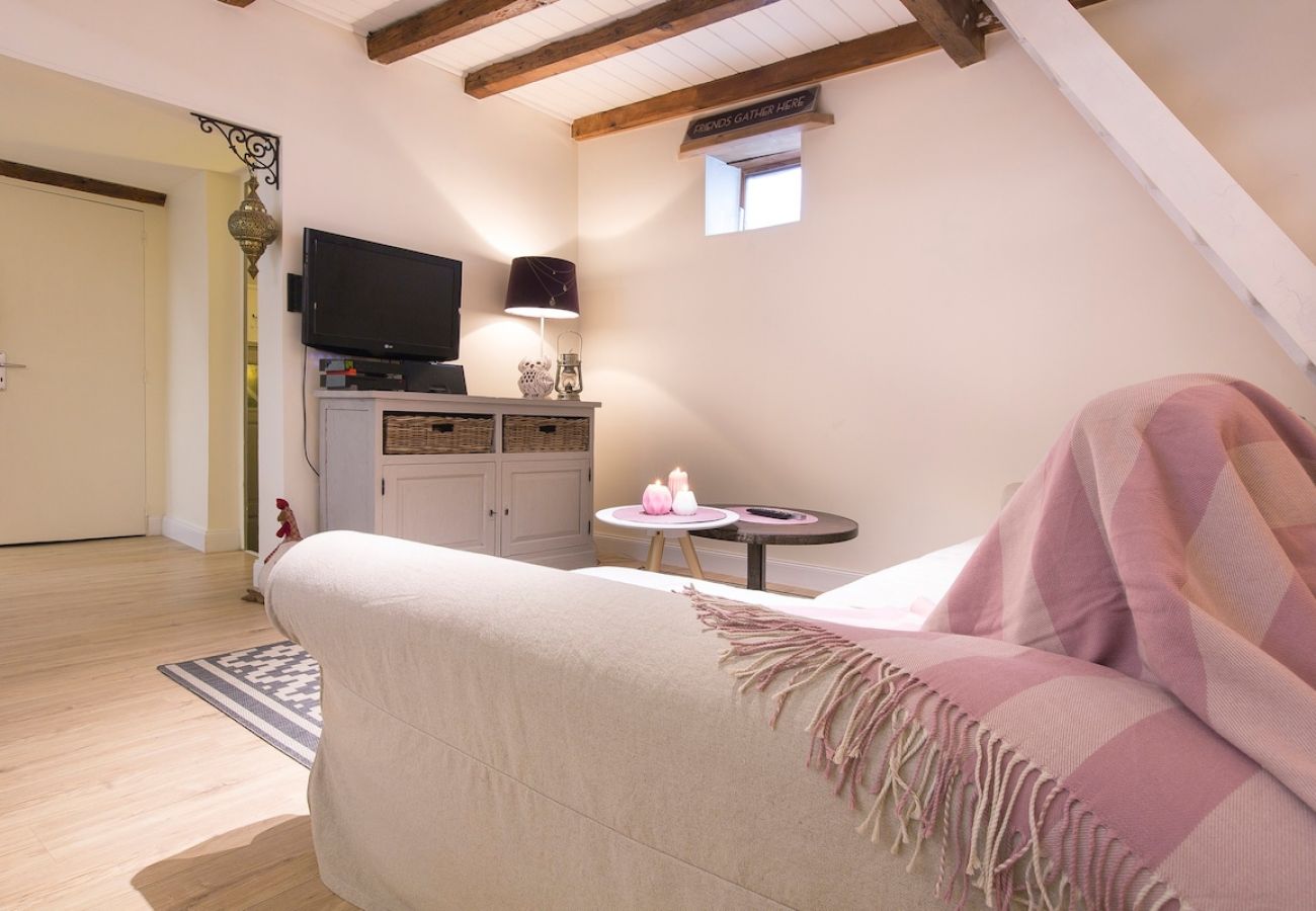 Apartment in Annecy - Cocoon 1 min romantique
