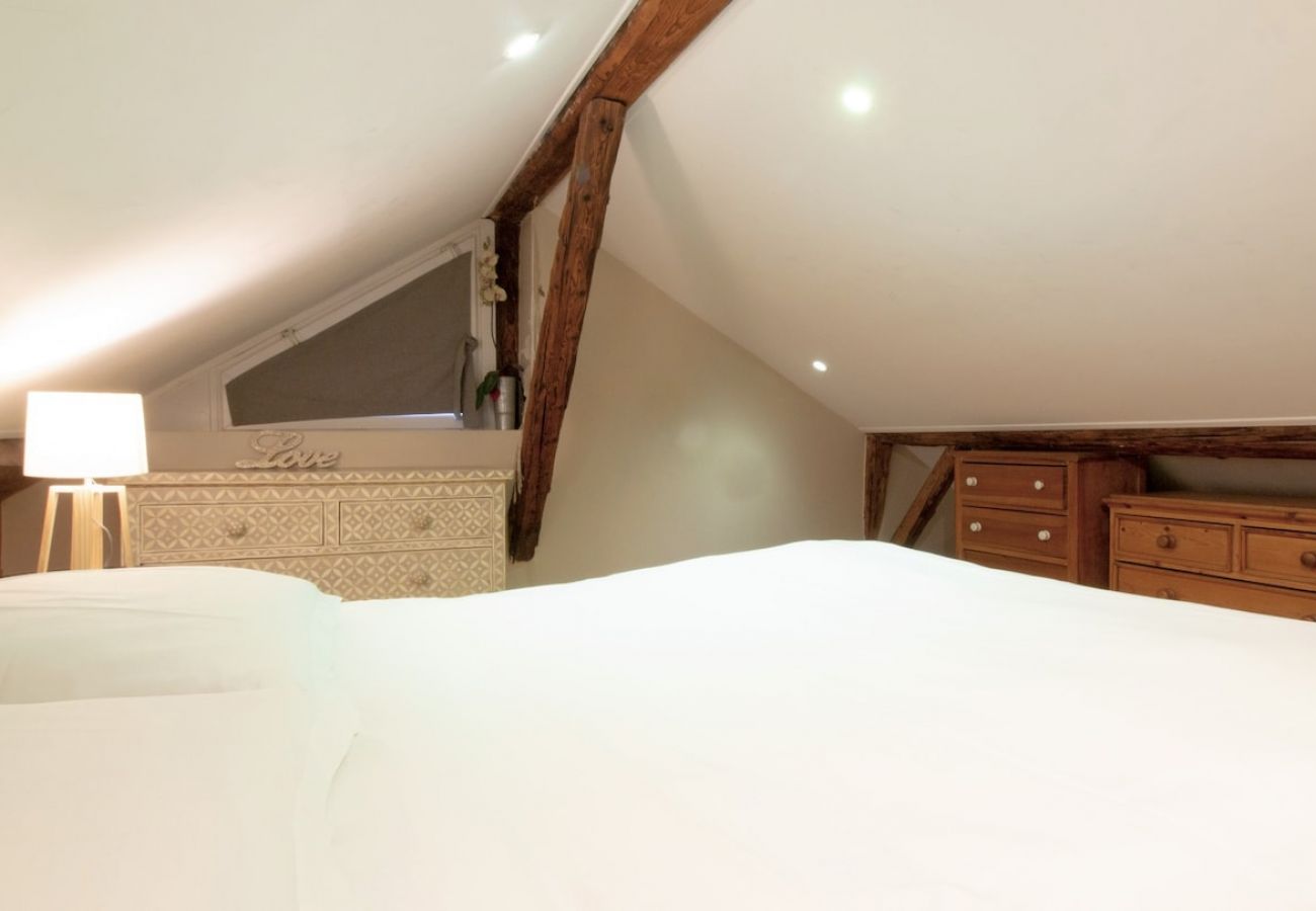 Apartment in Annecy - Cocoon 1 min romantique