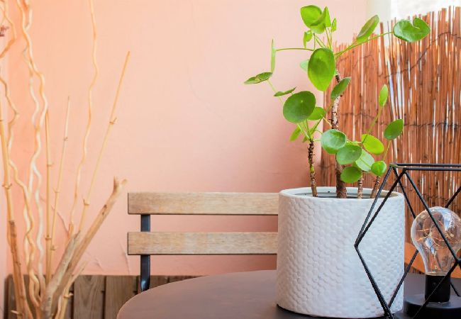 Studio in Annecy - Bamboo Caban 2 min du centre ville Studio in Annecy - Bamboo Caban 2 min du centre ville