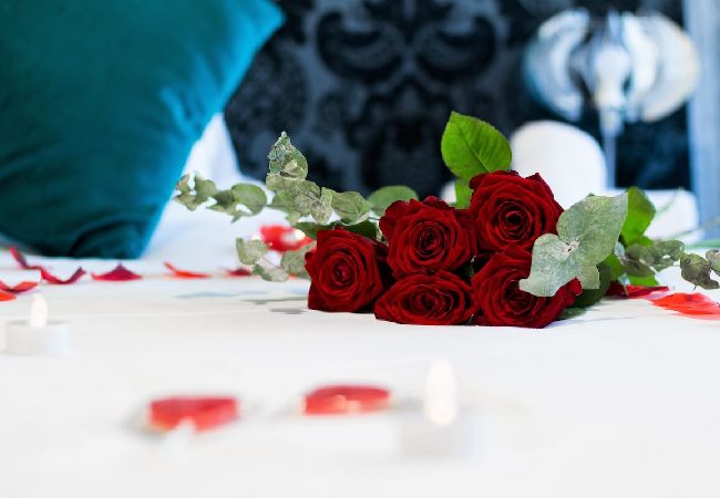 Apartment in Annecy - Golden Beach parking proche du lac Apartment in Annecy - Golden Beach parking proche du lac