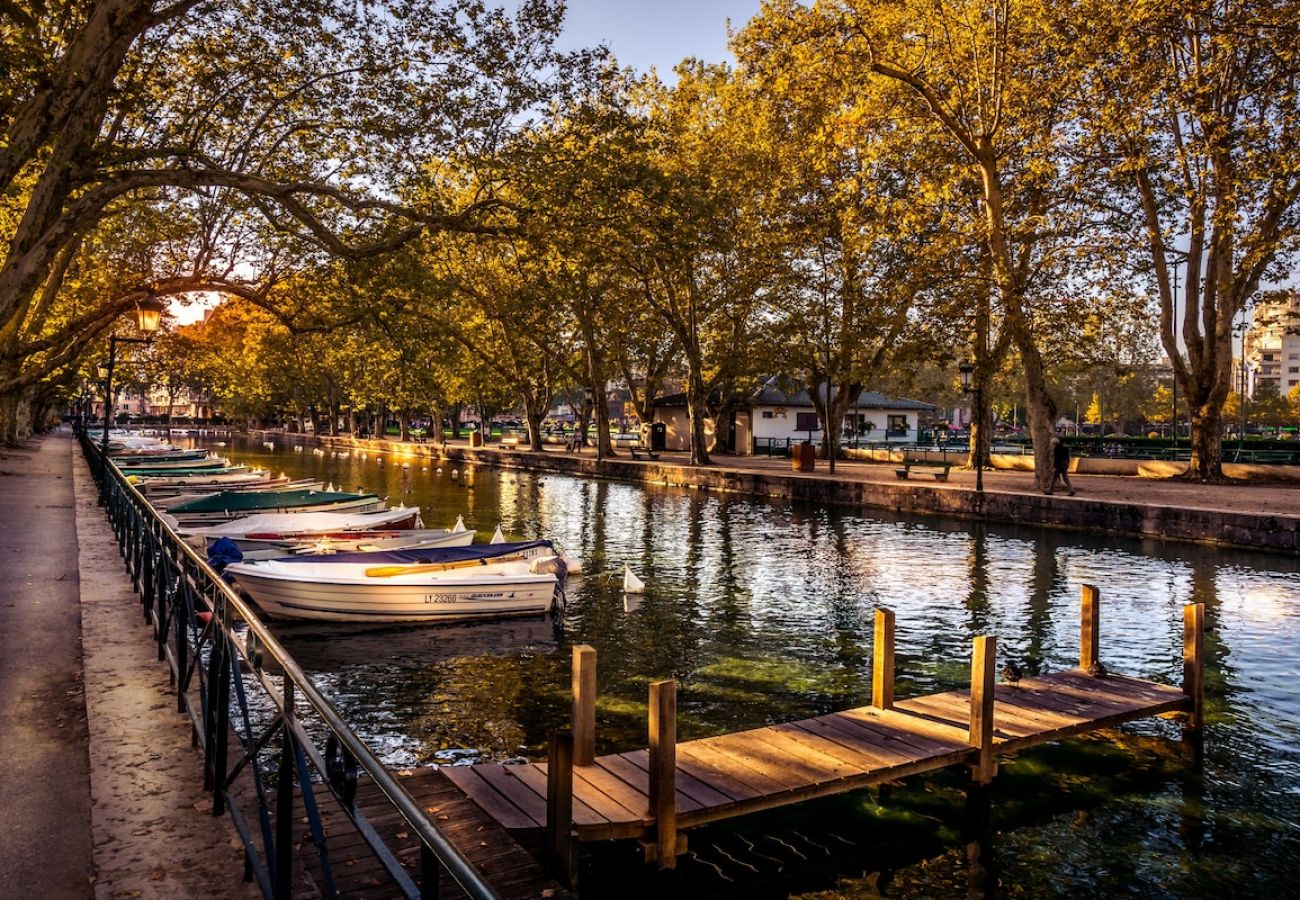 Apartment in Annecy - Golden Beach parking proche du lac