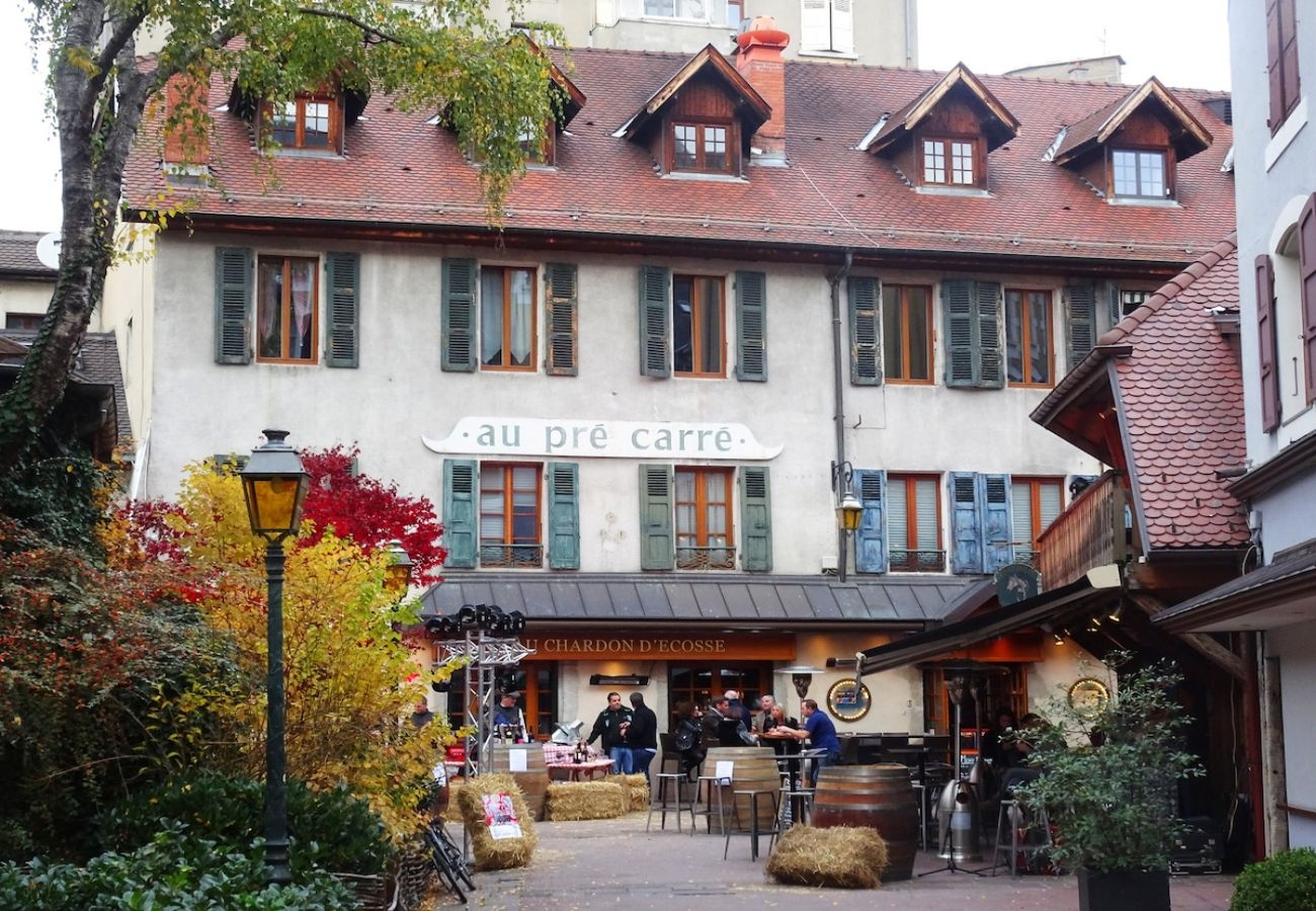 Studio in Annecy - Petit chez-vous pré carré rue Vaugelas