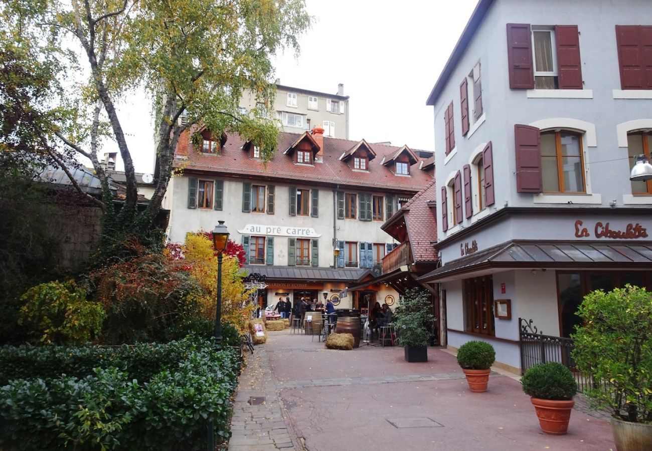 Studio in Annecy - Petit chez-vous pré carré rue Vaugelas