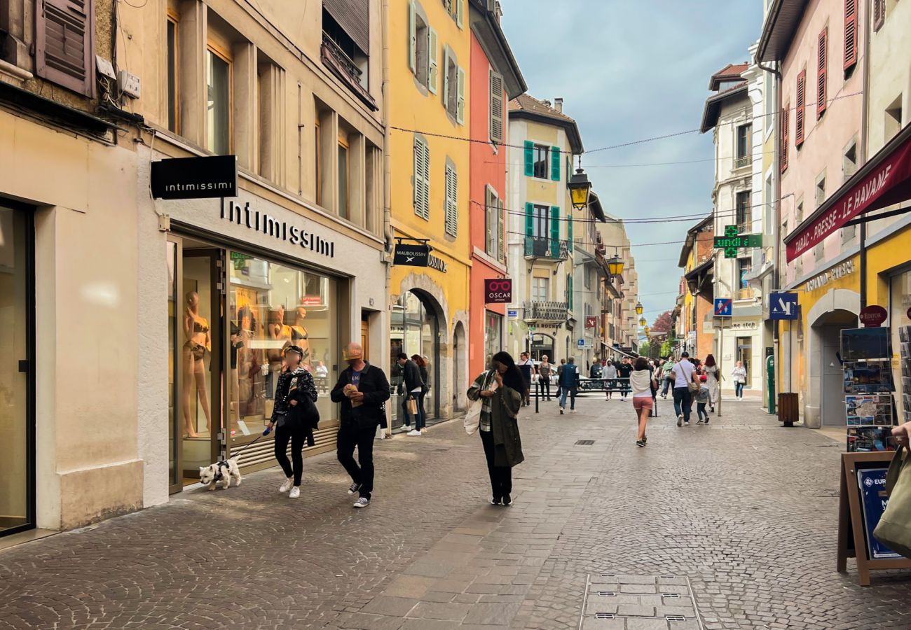 Studio in Annecy - La cachette dans le grenier 