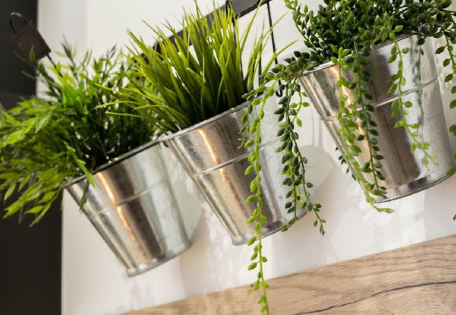 Studio in Annecy - Cesar Havre de Paix  vieille ville Studio in Annecy - Cesar Havre de Paix  vieille ville