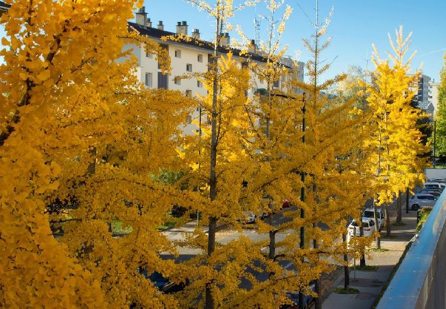 Studio in Annecy - Millenium parking privé Studio in Annecy - Millenium parking privé