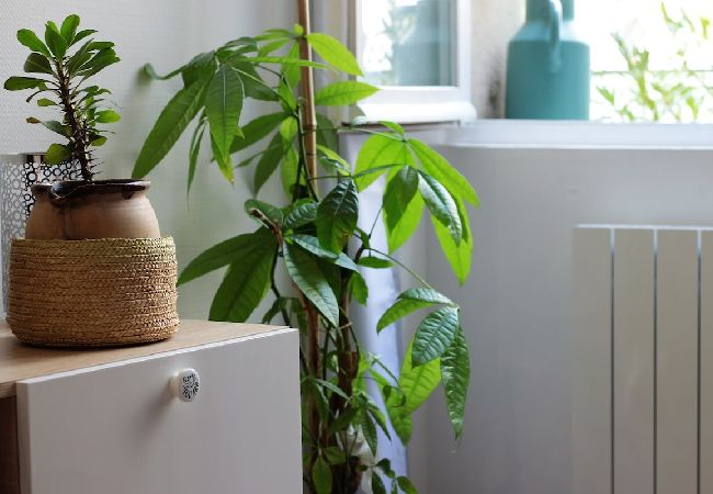 Apartment in Annecy - L Annex au cœur du centre ville Apartment in Annecy - L Annex au cœur du centre ville