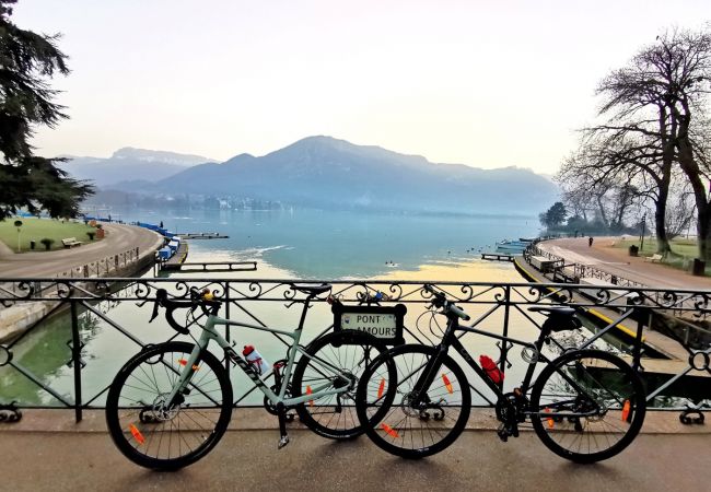 Studio in Annecy - Lafayette 2 vélos proche du lac