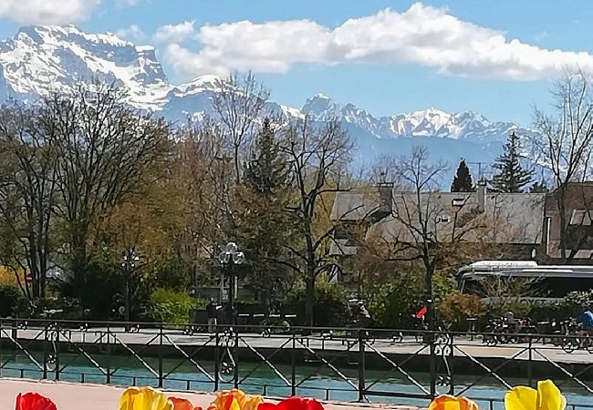 Apartment in Annecy - Manoir 2 chambres vieille ville Apartment in Annecy - Manoir 2 chambres vieille ville