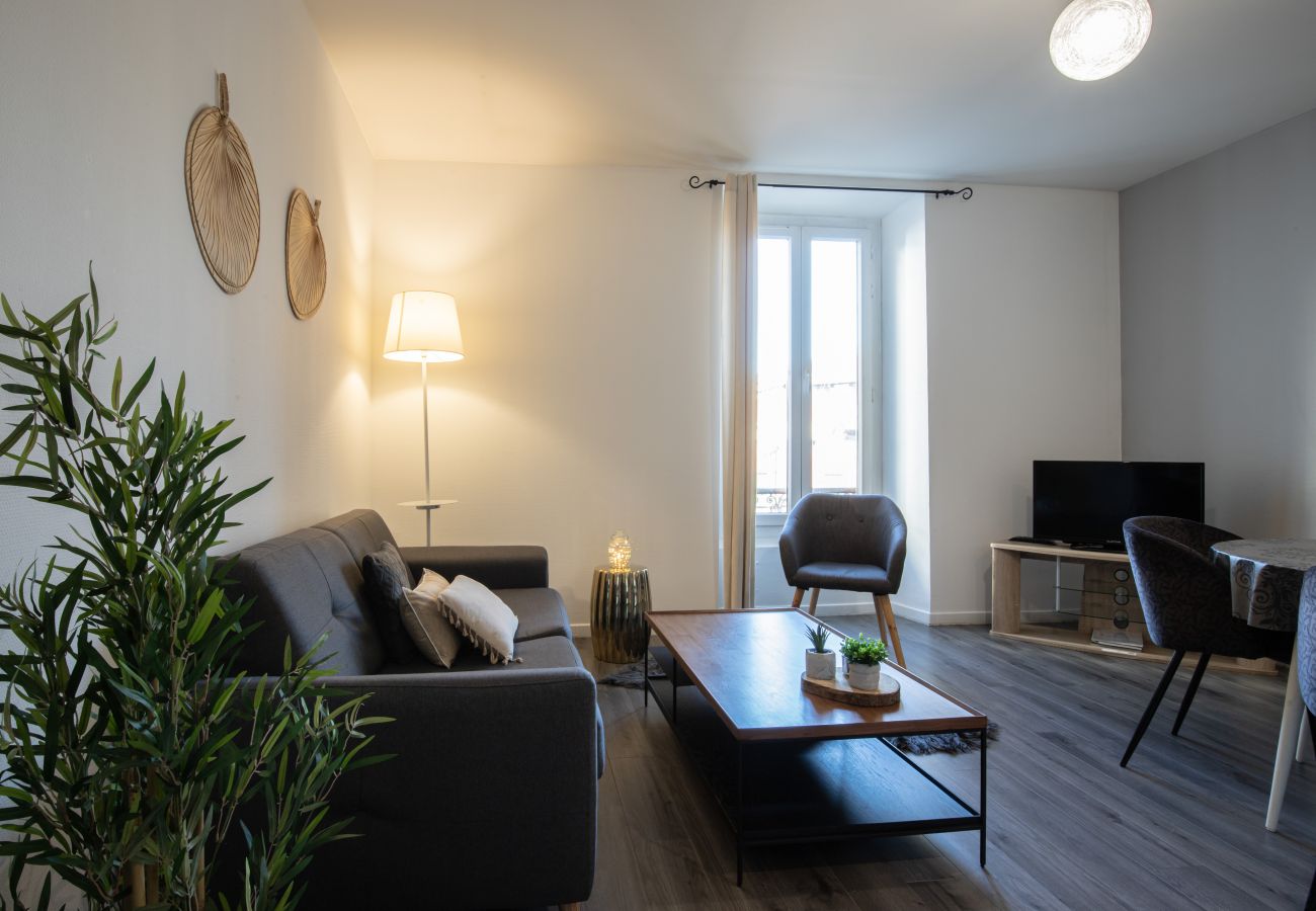 Apartment in Annecy - Petit prince centre ville, appareil à raclette