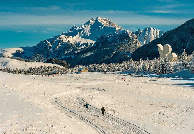 Studio in Annecy - Lilas Rose vieille ville charme incroyable Studio in Annecy - Lilas Rose vieille ville charme incroyable