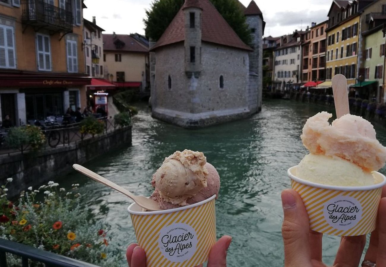 Studio in Annecy - Lilas Rose vieille ville charme incroyable