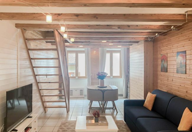 Apartment in Annecy - All seasons rue de l ile romantique Apartment in Annecy - All seasons rue de l ile romantique