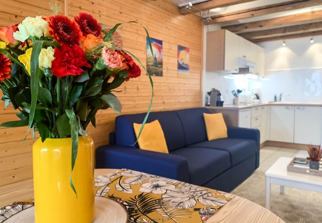 Apartment in Annecy - All seasons rue de l ile romantique Apartment in Annecy - All seasons rue de l ile romantique