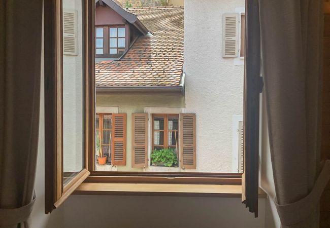 Apartment in Annecy - All seasons rue de l ile romantique Apartment in Annecy - All seasons rue de l ile romantique