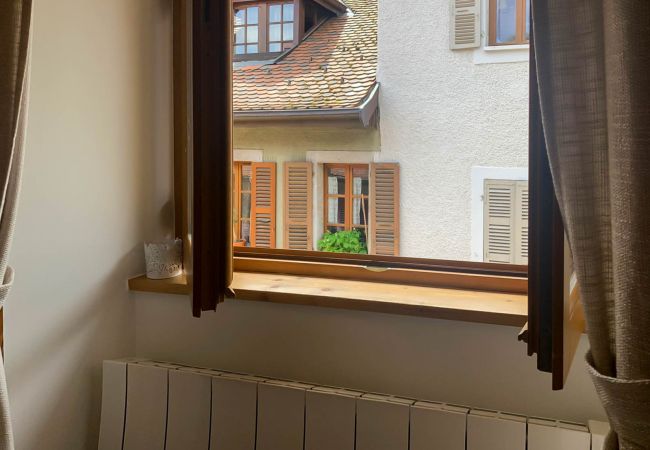 Apartment in Annecy - All seasons rue de l ile romantique Apartment in Annecy - All seasons rue de l ile romantique