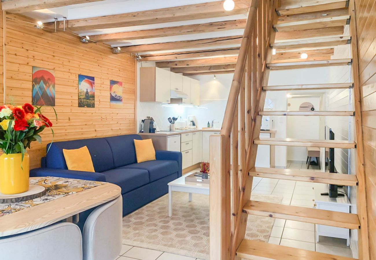 Apartment in Annecy - All seasons rue de l ile romantique