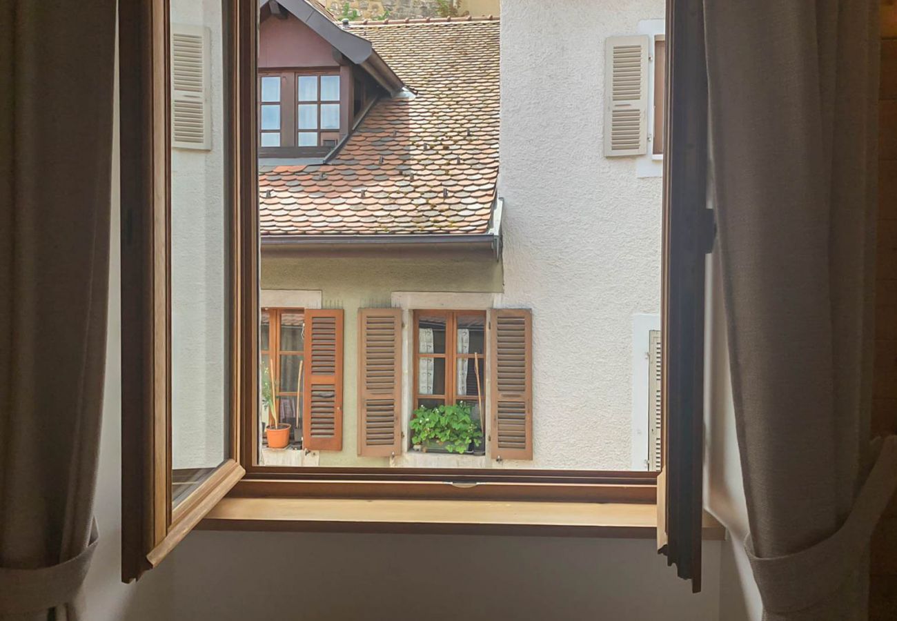 Apartment in Annecy - All seasons rue de l ile romantique