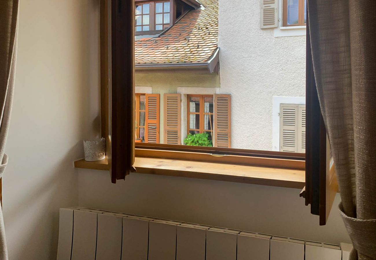 Apartment in Annecy - All seasons rue de l ile romantique