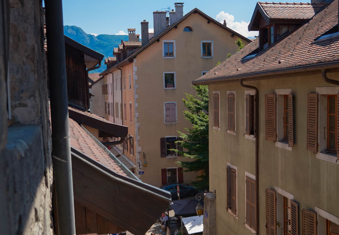 Apartment in Annecy - All seasons rue de l ile romantique