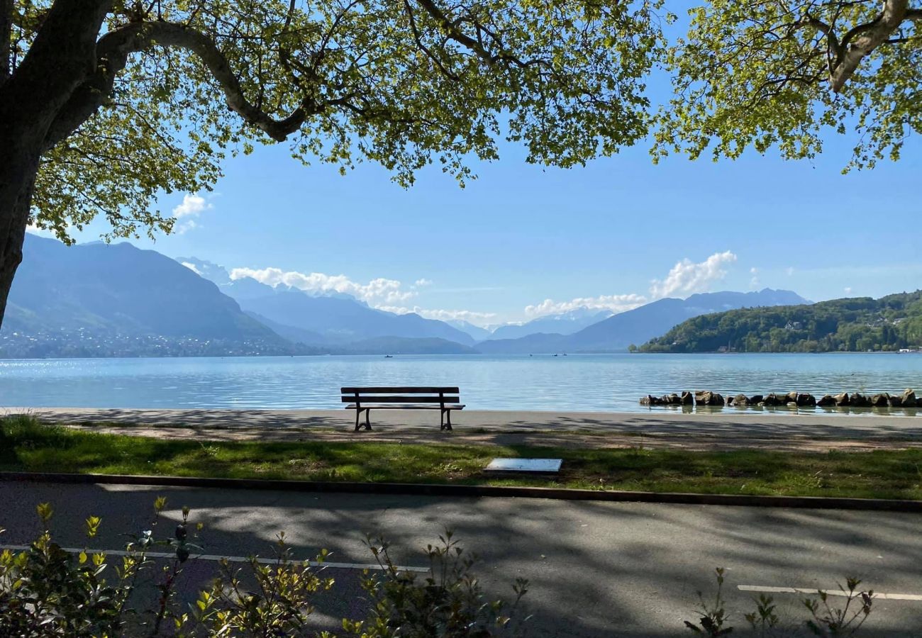 Studio in Annecy - Woody 100m du lac balcon