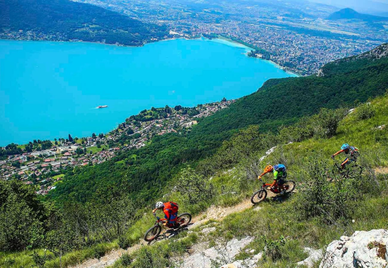 Apartment in Annecy - Hysope standing 100m du lac