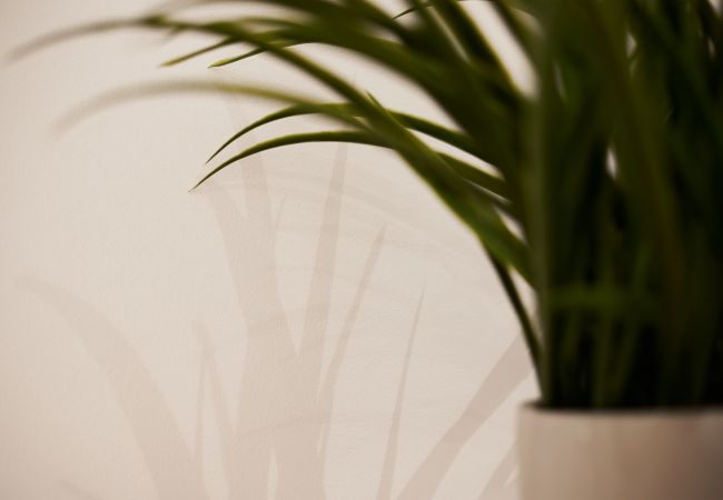 Apartment in Annecy - Moka rue Carnot, emplacement 1er Apartment in Annecy - Moka rue Carnot, emplacement 1er