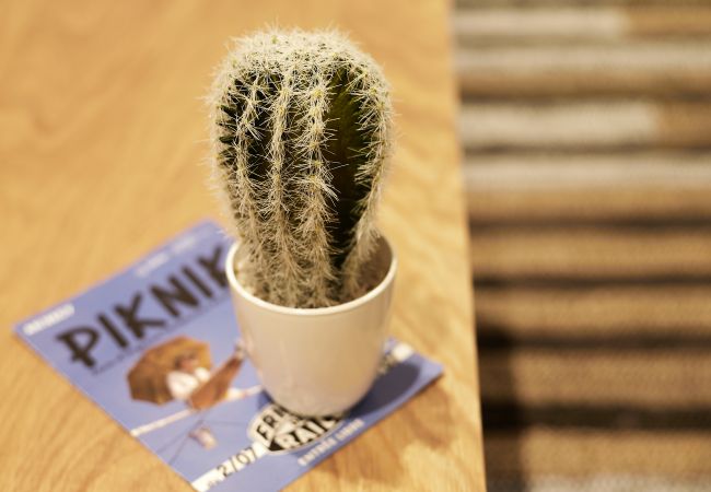 Apartment in Annecy - Moka rue Carnot, emplacement 1er Apartment in Annecy - Moka rue Carnot, emplacement 1er