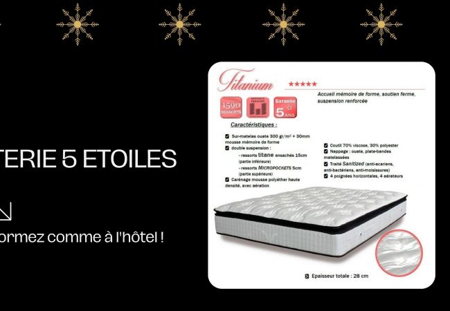 Studio in Annecy - Marmotte vieille ville romantique Studio in Annecy - Marmotte vieille ville romantique