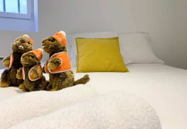 Studio in Annecy - Marmotte vieille ville romantique Studio in Annecy - Marmotte vieille ville romantique