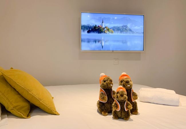 Studio in Annecy - Marmotte vieille ville romantique Studio in Annecy - Marmotte vieille ville romantique