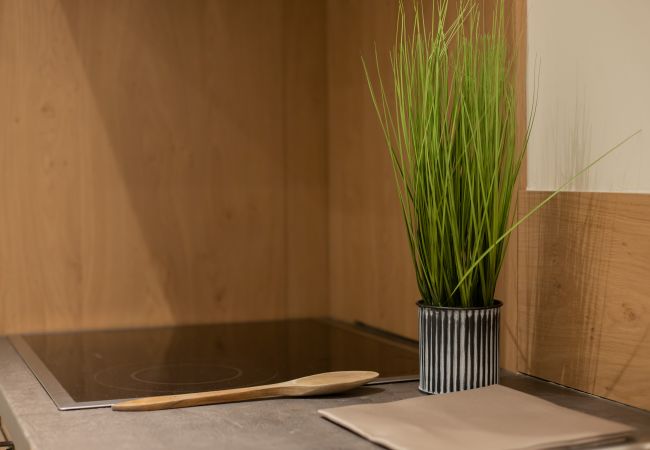 Studio in Annecy - Marmotte vieille ville romantique Studio in Annecy - Marmotte vieille ville romantique