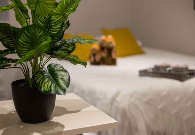 Studio in Annecy - Marmotte vieille ville romantique Studio in Annecy - Marmotte vieille ville romantique