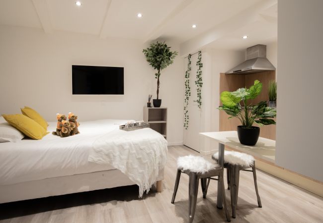 Studio in Annecy - Marmotte vieille ville romantique Studio in Annecy - Marmotte vieille ville romantique