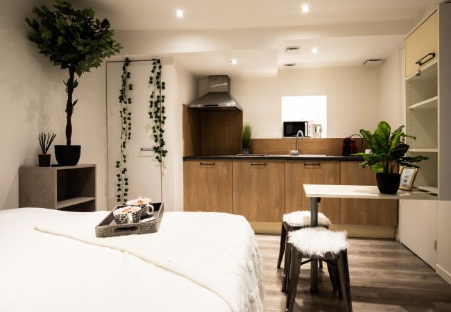 Studio in Annecy - Marmotte vieille ville romantique Studio in Annecy - Marmotte vieille ville romantique