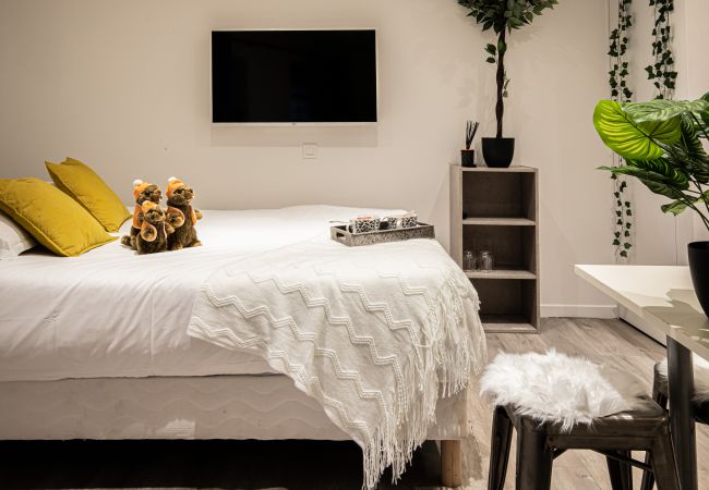 Studio in Annecy - Marmotte vieille ville romantique Studio in Annecy - Marmotte vieille ville romantique