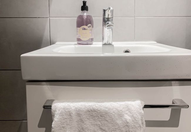 Apartment in Annecy - Chamois vieille ville appareil à raclette Apartment in Annecy - Chamois vieille ville appareil à raclette