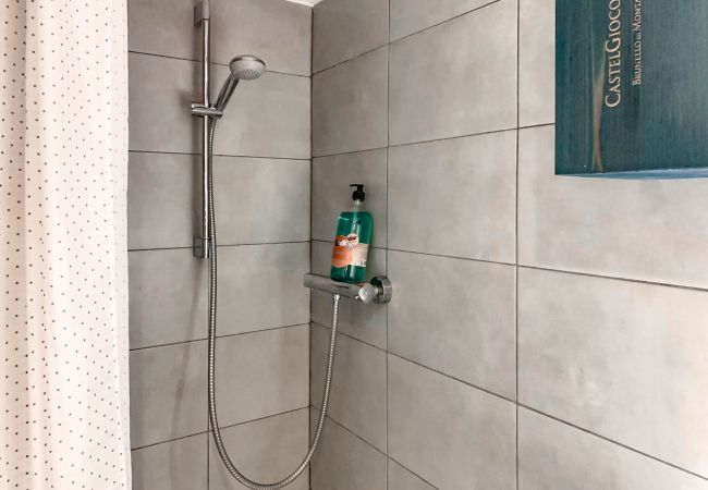 Apartment in Annecy - Chamois vieille ville appareil à raclette Apartment in Annecy - Chamois vieille ville appareil à raclette