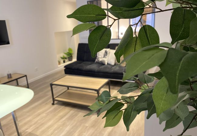 Apartment in Annecy - Chamois vieille ville appareil à raclette Apartment in Annecy - Chamois vieille ville appareil à raclette