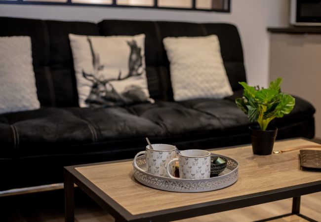 Apartment in Annecy - Chamois vieille ville appareil à raclette Apartment in Annecy - Chamois vieille ville appareil à raclette