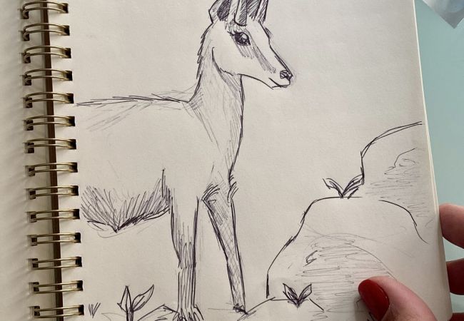 Apartment in Annecy - Chamois vieille ville appareil à raclette Apartment in Annecy - Chamois vieille ville appareil à raclette