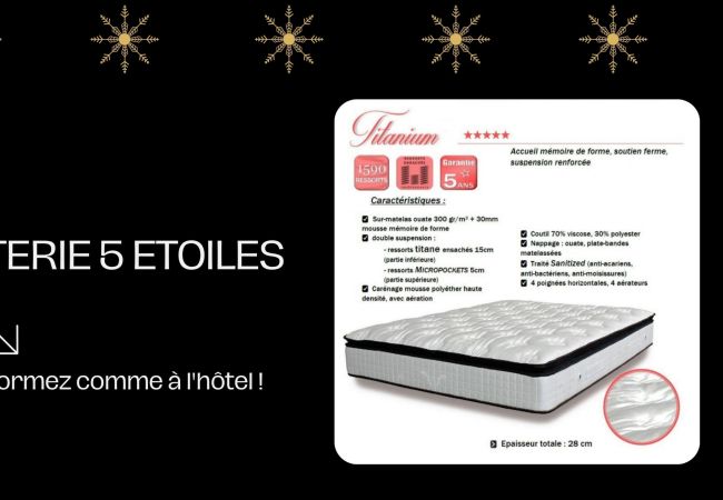 Apartment in Annecy - Chamois vieille ville appareil à raclette Apartment in Annecy - Chamois vieille ville appareil à raclette