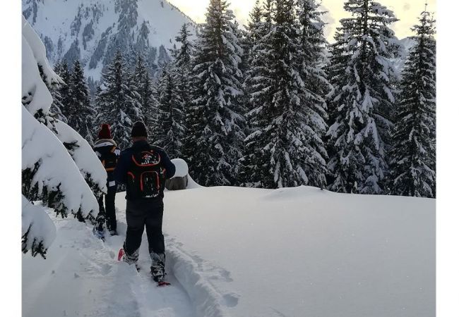 Apartment in Annecy - Belvédère vieille ville proche du château Apartment in Annecy - Belvédère vieille ville proche du château