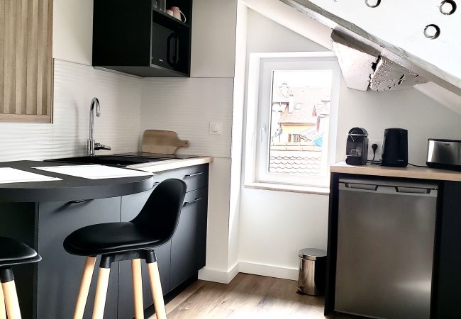 Studio in Annecy - Perchoir meilleur emplacement vieille ville Studio in Annecy - Perchoir meilleur emplacement vieille ville