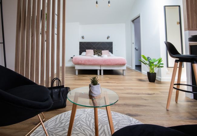 Studio in Annecy - Perchoir meilleur emplacement vieille ville Studio in Annecy - Perchoir meilleur emplacement vieille ville